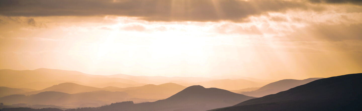 ส่วนบนสุดของเว็บไซต์